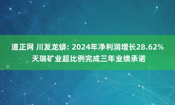 道正网 川发龙蟒: 2024年净利润增长28.62% 天瑞矿业超比例完成三年业绩承诺