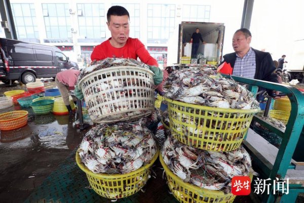 恒瑞行配资 梭子蟹“跳上”五一餐桌！ 江苏赣榆：海鲜市场交易火爆迎假期